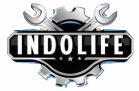 logo indolife
